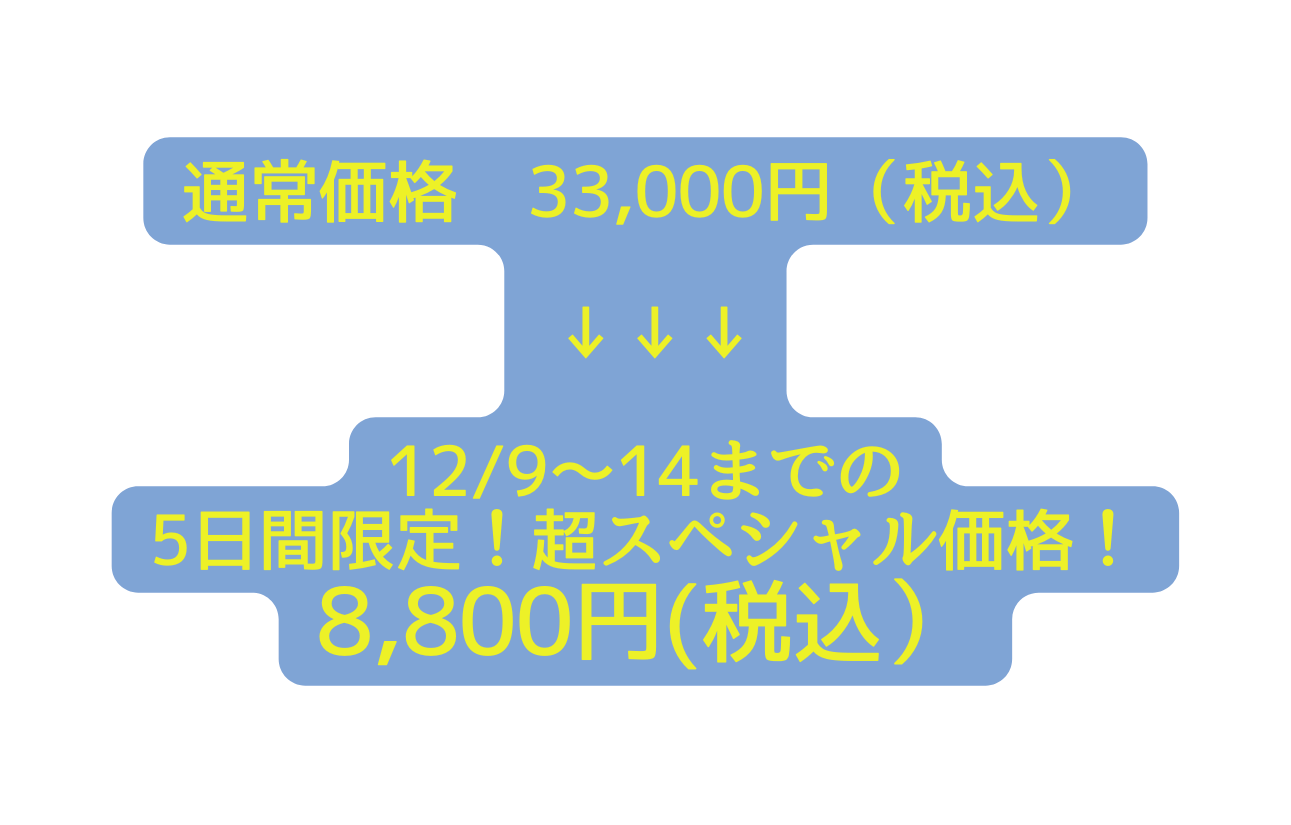 通常価格 33 000円 税込 12 9 14までの 5日間限定 超スペシャル価格 8 800円 税込